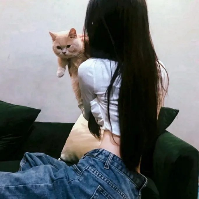 全面回忆