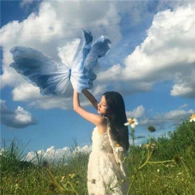 蝙蝠侠与小丑女